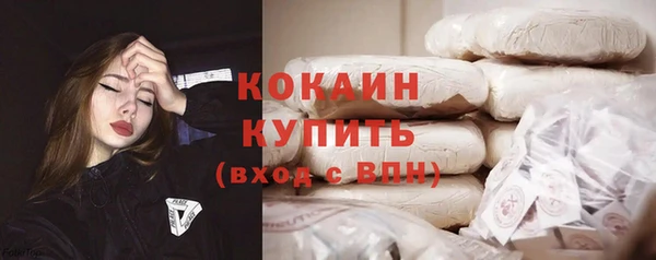 прущие крисы Болотное