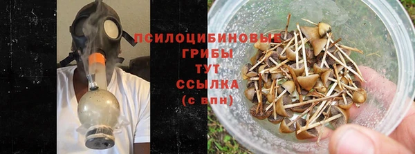 ПСИЛОЦИБИНОВЫЕ ГРИБЫ Чекалин