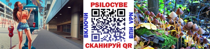 Псилоцибиновые грибы MAGIC MUSHROOMS  KRAKEN tor  Опочка 