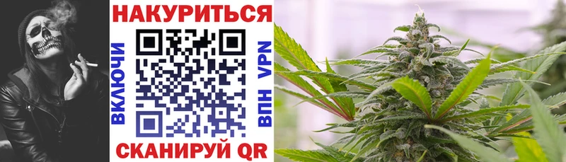 МЕГА рабочий сайт  как найти наркотики  дарк нет телеграм  Бошки Шишки OG Kush  Опочка 